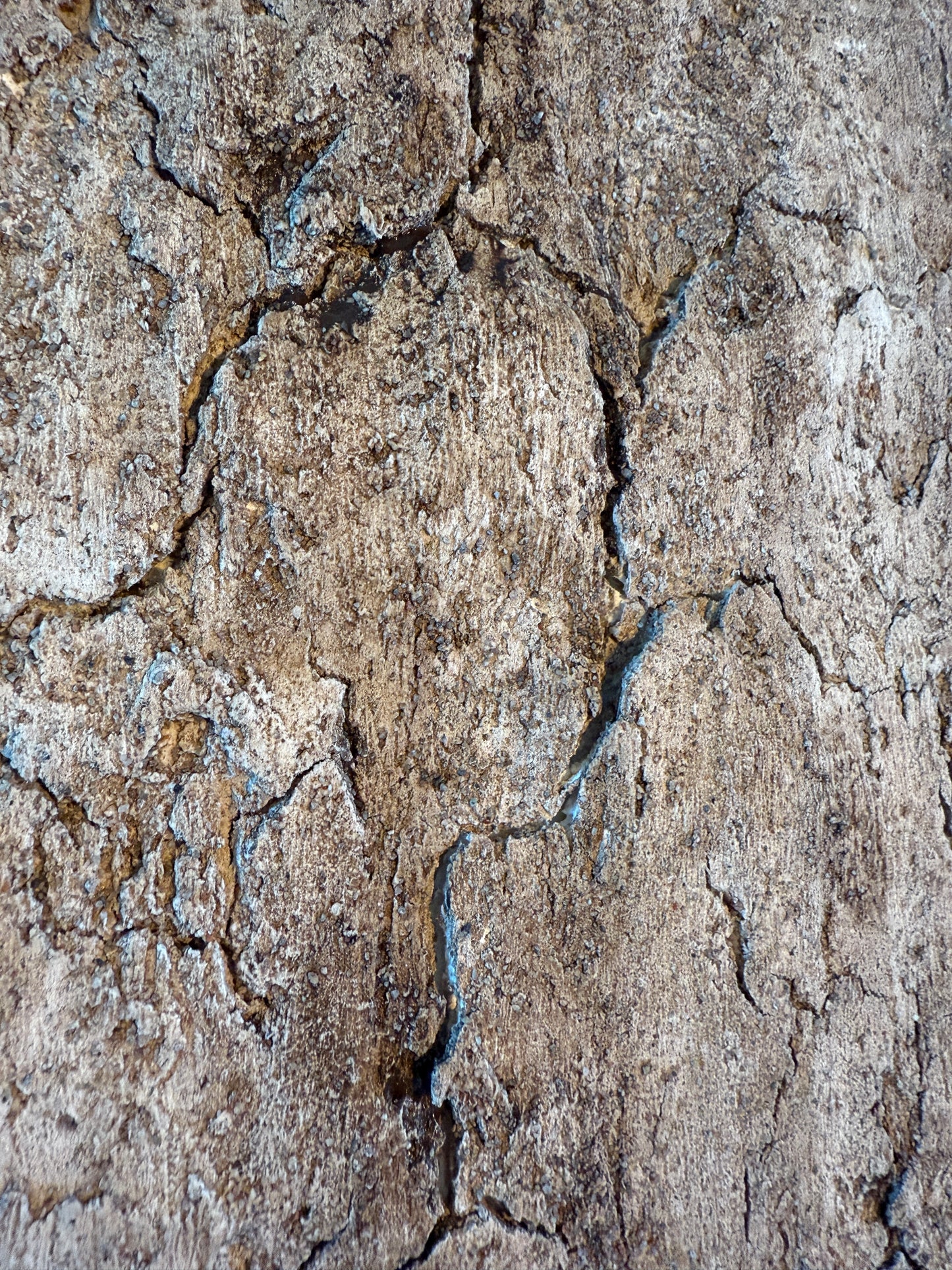 NATURE’S SKIN
